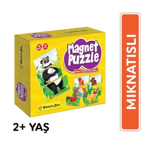 Magnet Puzzle 2+